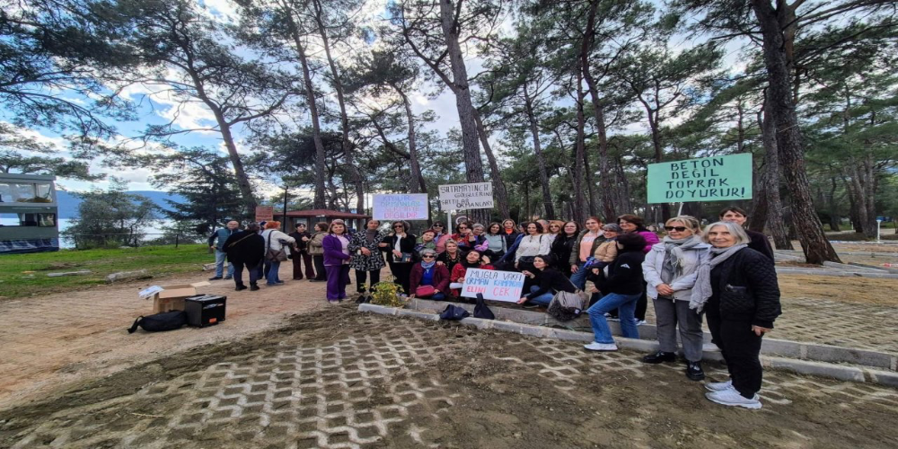 Akyaka Orman Kampı’nda Yapılaşmaya Karşı Dava Açıldı