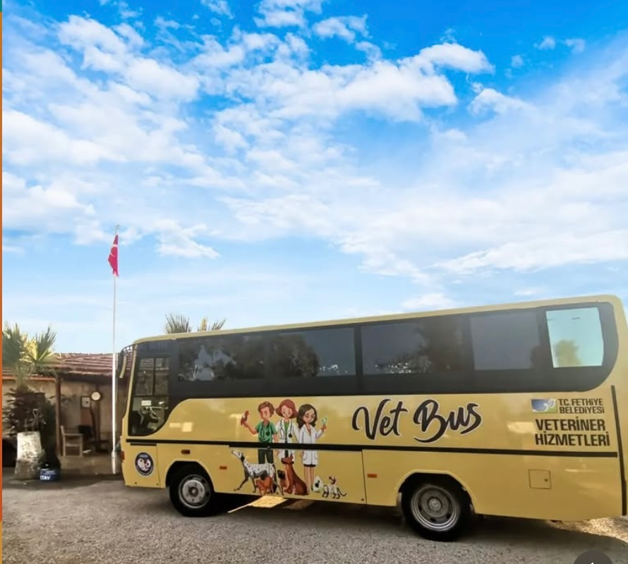 Fethiye Belediyesi’nden Sokak Hayvanları İçin Mobil Hizmet: VetBus 22 Nisan’da Sahada