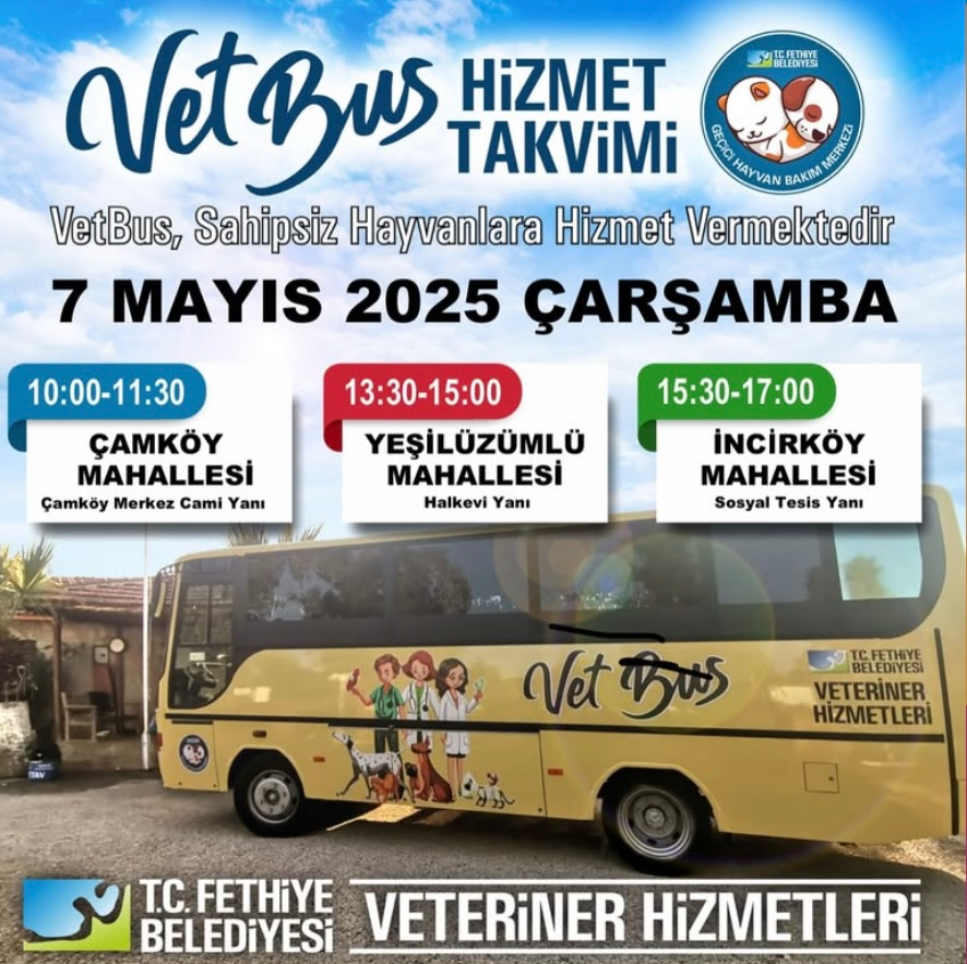 Fethiye Belediyesi’nden Sokak Hayvanlarına Mobil Hizmet: VetBus 7 Mayıs’ta Yollarda